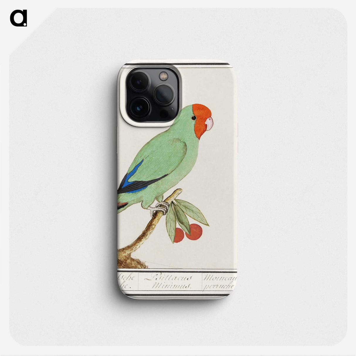 2-30_Anselmus-Boetius-de-Boodt_phone