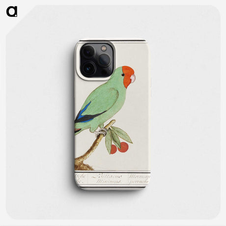 2-30_Anselmus-Boetius-de-Boodt_phone