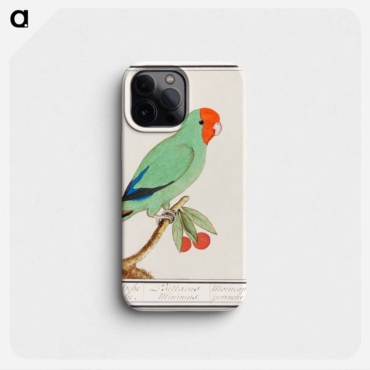 Red-headed lovebird - アンセルムス ボエティウス デ ブート Phone Case.