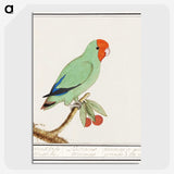 2-30_Anselmus-Boetius-de-Boodt_picture-crop