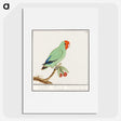 2-30_Anselmus-Boetius-de-Boodt_picture