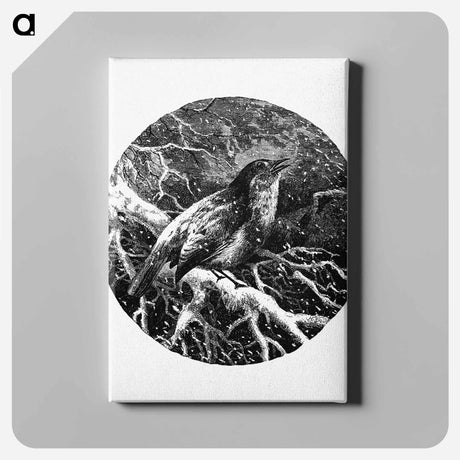 アートパネル-A Robin's Requiem
 - 大英図書館 Canvas.