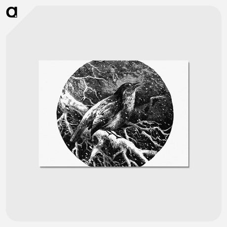 アートポストカード-A Robin's Requiem
 - 大英図書館 Postcard.