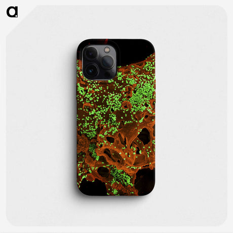 2-30_COVID-19_phone