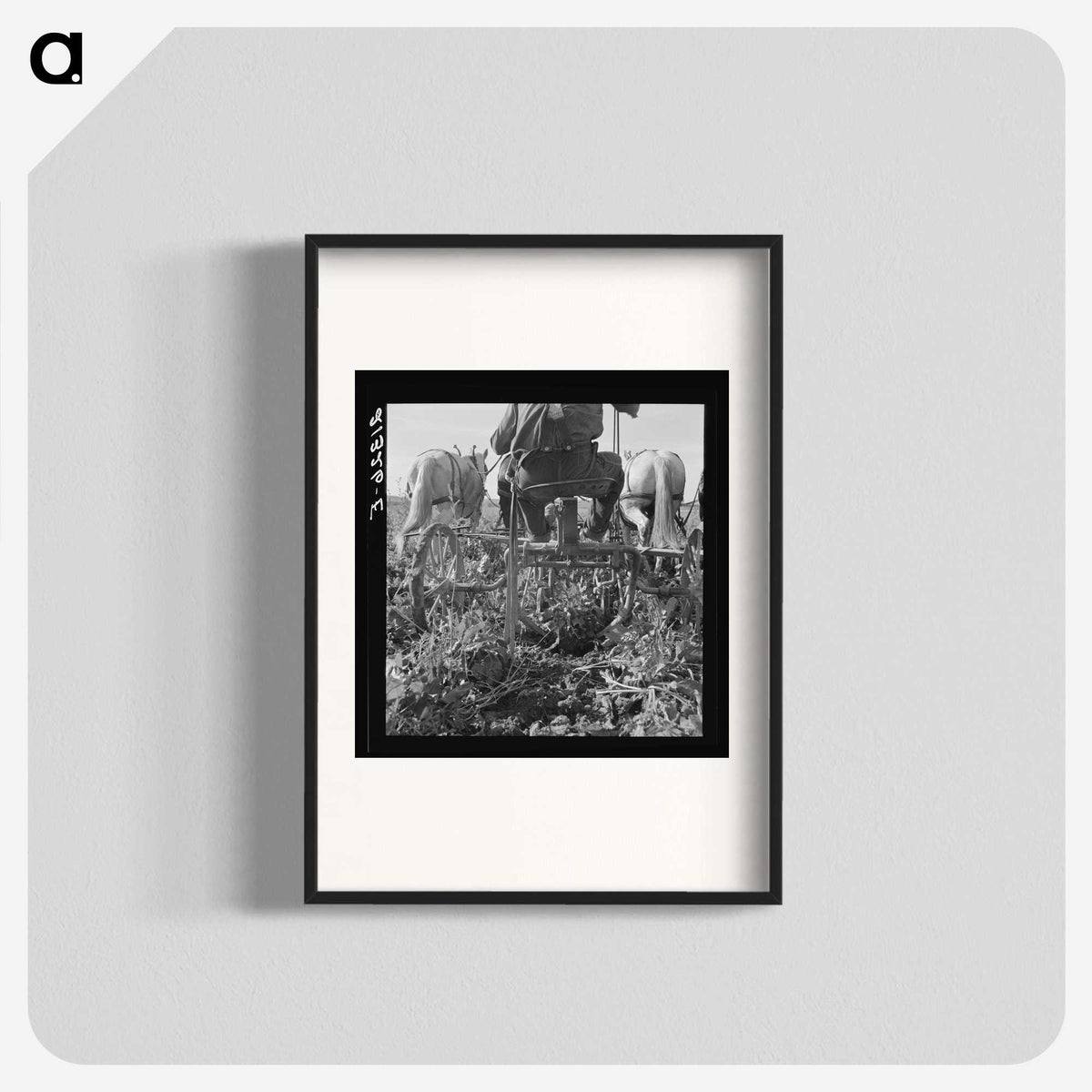 2-30_Dorothea-Lange_blk