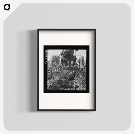 2-30_Dorothea-Lange_blk