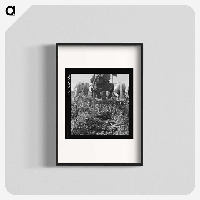 2-30_Dorothea-Lange_blk