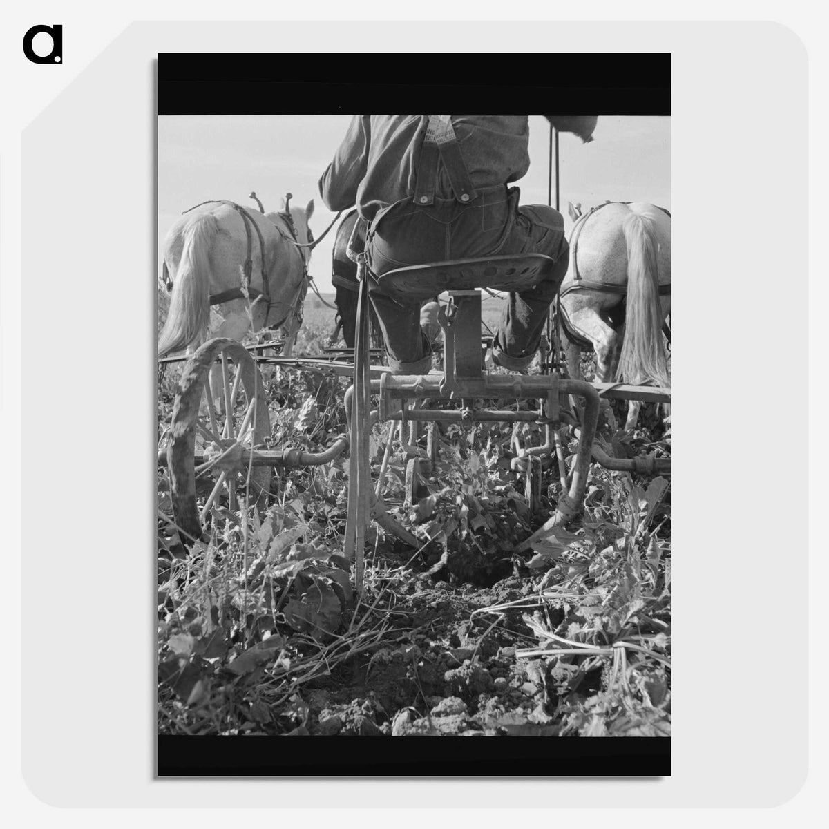 2-30_Dorothea-Lange_picture-crop