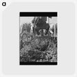 2-30_Dorothea-Lange_postcard