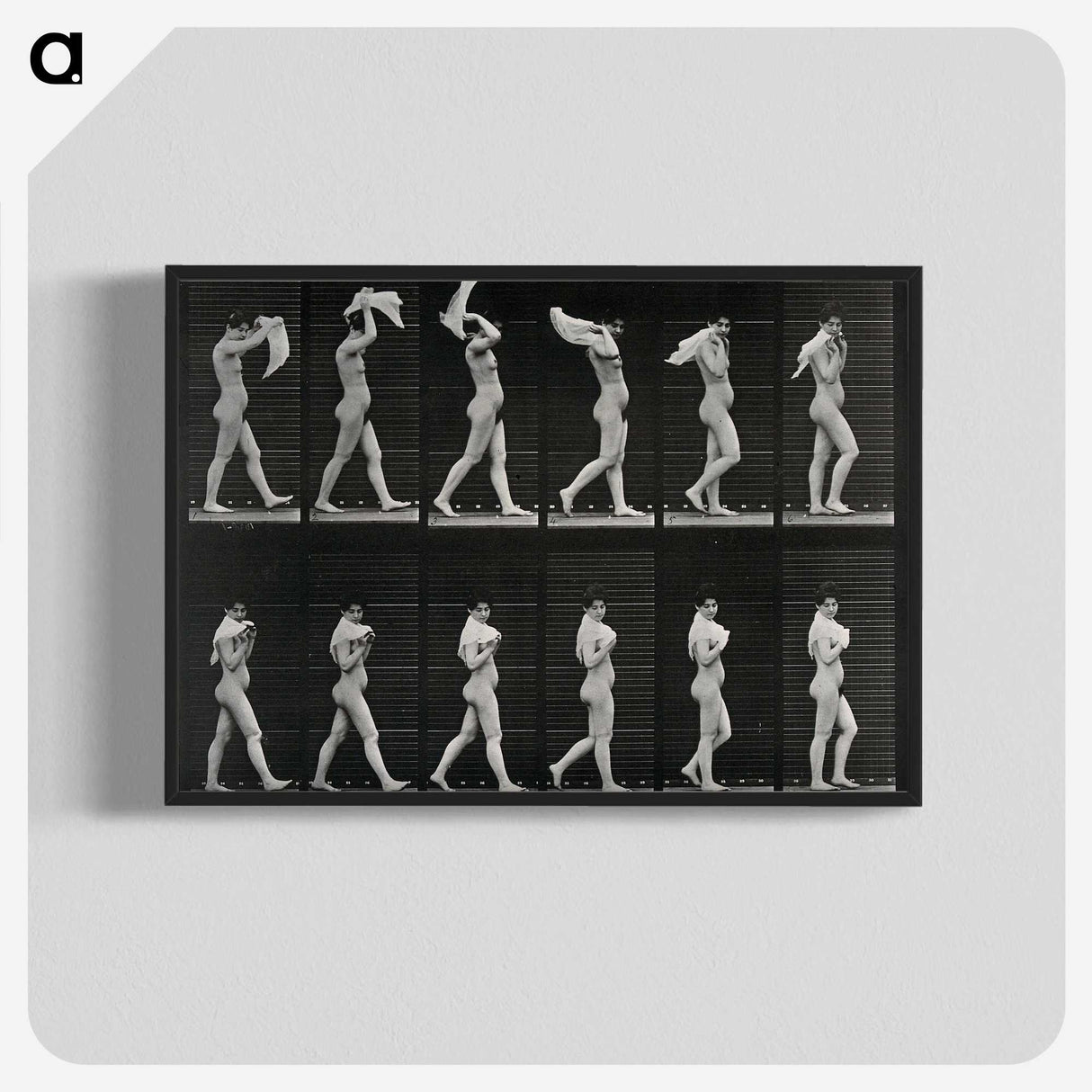 2-30_Eadweard-Muybridge_blk-crop