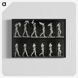 2-30_Eadweard-Muybridge_blk-crop