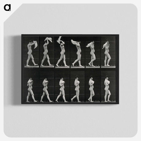 2-30_Eadweard-Muybridge_blk-crop