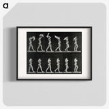 2-30_Eadweard-Muybridge_blk