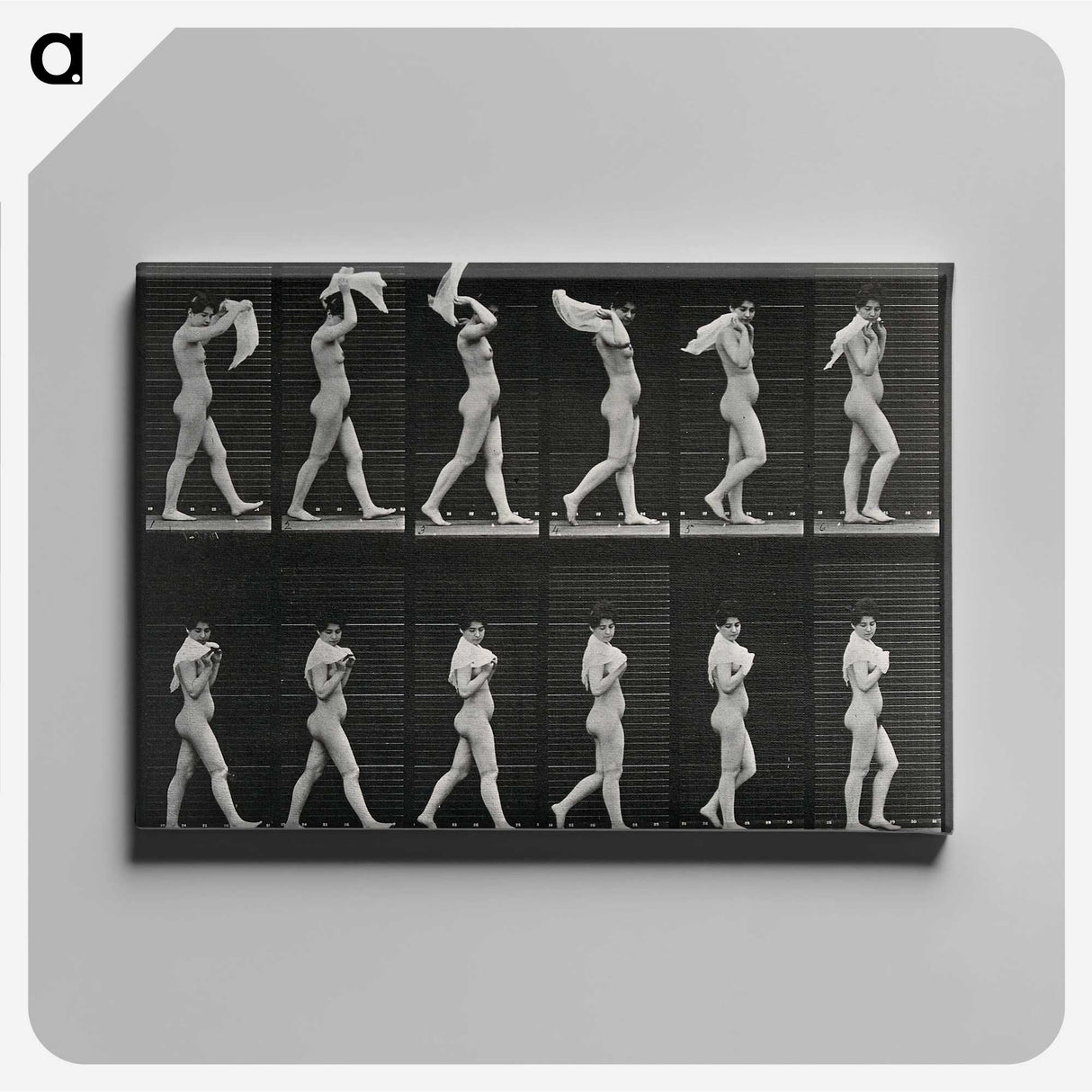 2-30_Eadweard-Muybridge_canvas