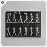 2-30_Eadweard-Muybridge_canvas