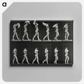 2-30_Eadweard-Muybridge_canvas