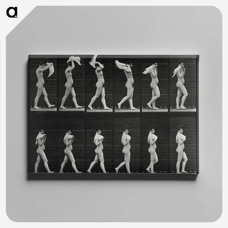 2-30_Eadweard-Muybridge_canvas