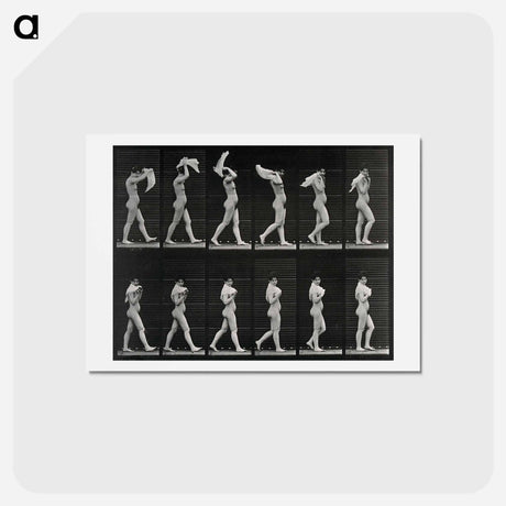 アートポストカード-Woman with Shawl
 - エドワード マイブリッジ Postcard.