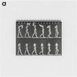 2-30_Eadweard-Muybridge_memo