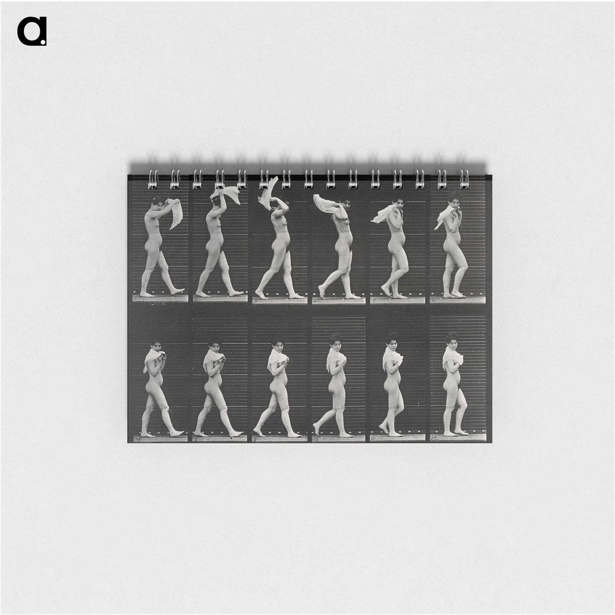 2-30_Eadweard-Muybridge_memo