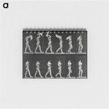 2-30_Eadweard-Muybridge_memo