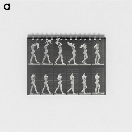 2-30_Eadweard-Muybridge_memo