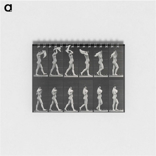 2-30_Eadweard-Muybridge_memo