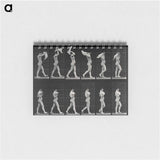 アートメモ帳-Woman with Shawl
 - エドワード マイブリッジ Memo.