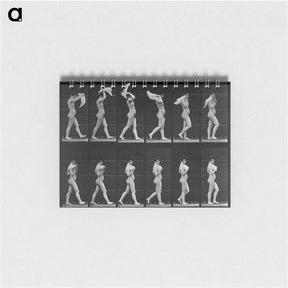 アートメモ帳-Woman with Shawl
 - エドワード マイブリッジ Memo.