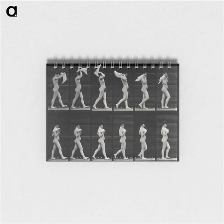 アートメモ帳-Woman with Shawl
 - エドワード マイブリッジ Memo.