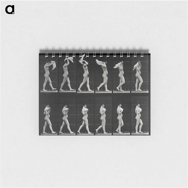 アートメモ帳-Woman with Shawl
 - エドワード マイブリッジ Memo.