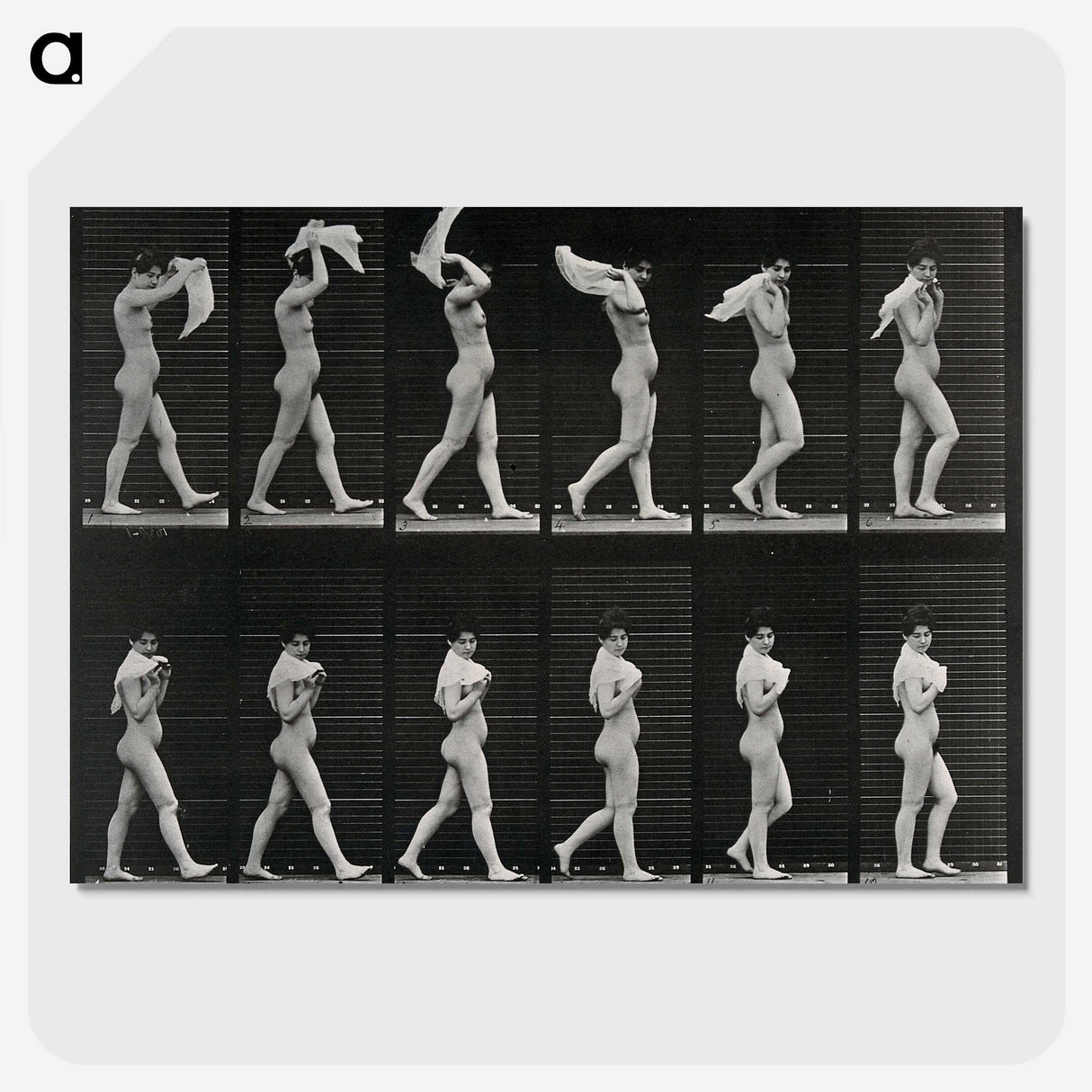 2-30_Eadweard-Muybridge_picture-crop