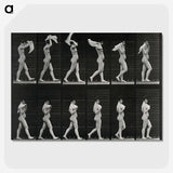 2-30_Eadweard-Muybridge_picture-crop