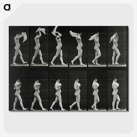2-30_Eadweard-Muybridge_picture-crop