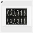 2-30_Eadweard-Muybridge_picture