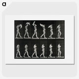 2-30_Eadweard-Muybridge_picture