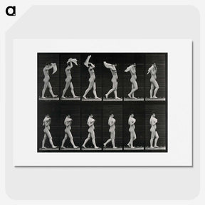 2-30_Eadweard-Muybridge_picture