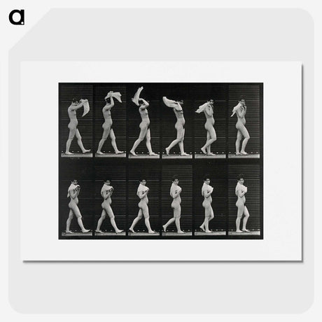 2-30_Eadweard-Muybridge_picture