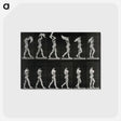 2-30_Eadweard-Muybridge_postcard