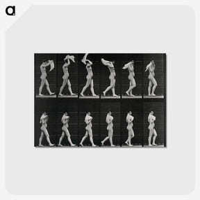 2-30_Eadweard-Muybridge_postcard