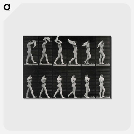 アートポストカード-Woman with Shawl
 - エドワード マイブリッジ Postcard.