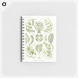 2-30_Ernst-Haeckel_memo