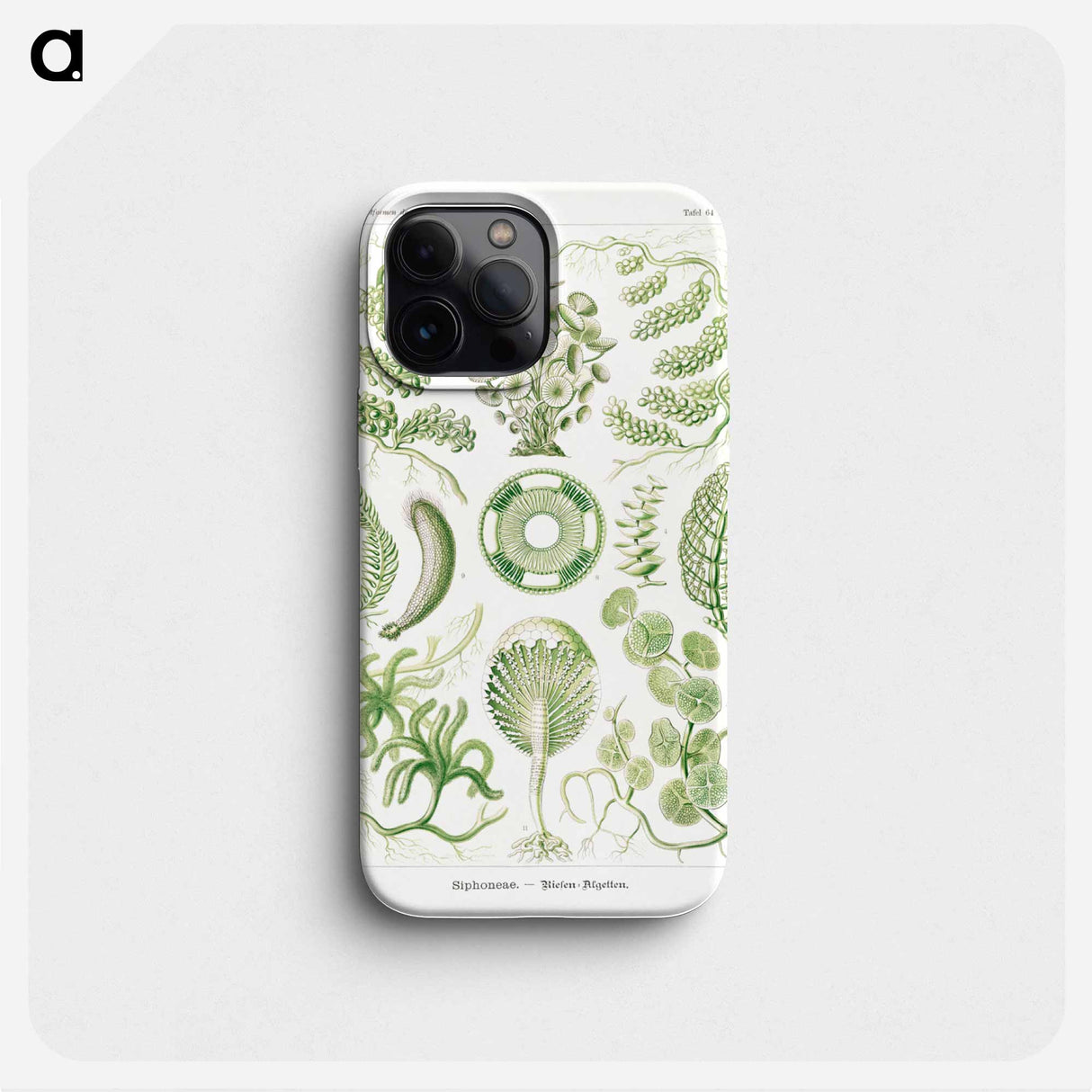 Siphoneae–Riesen Algetten - エルンスト ヘッケル Phone Case.