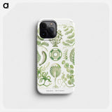 Siphoneae–Riesen Algetten - エルンスト ヘッケル Phone Case.