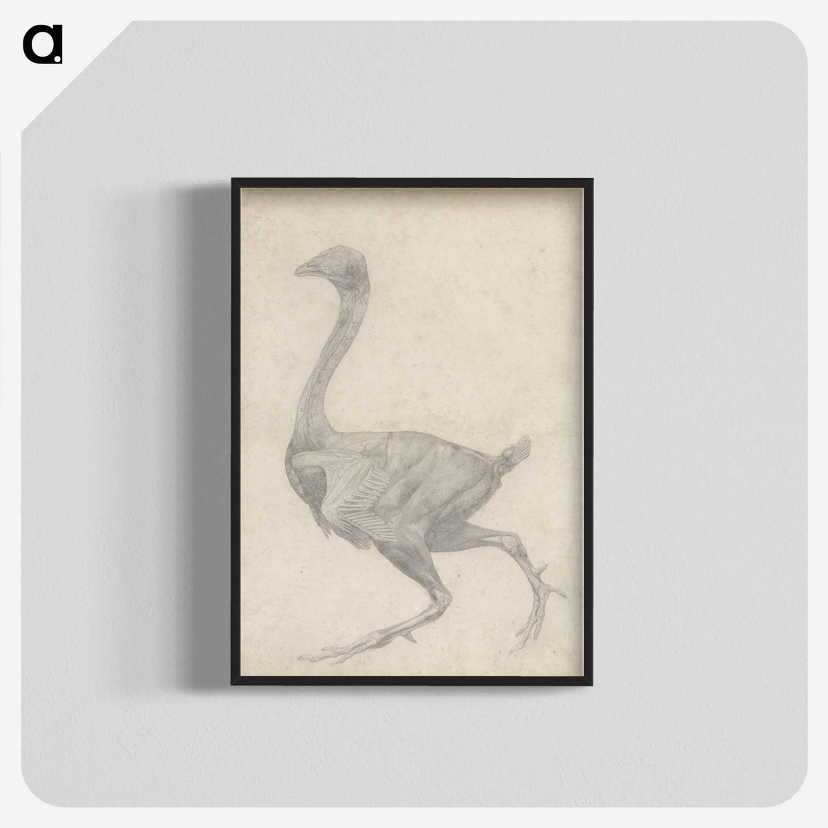 2-30_George-Stubbs_blk-crop