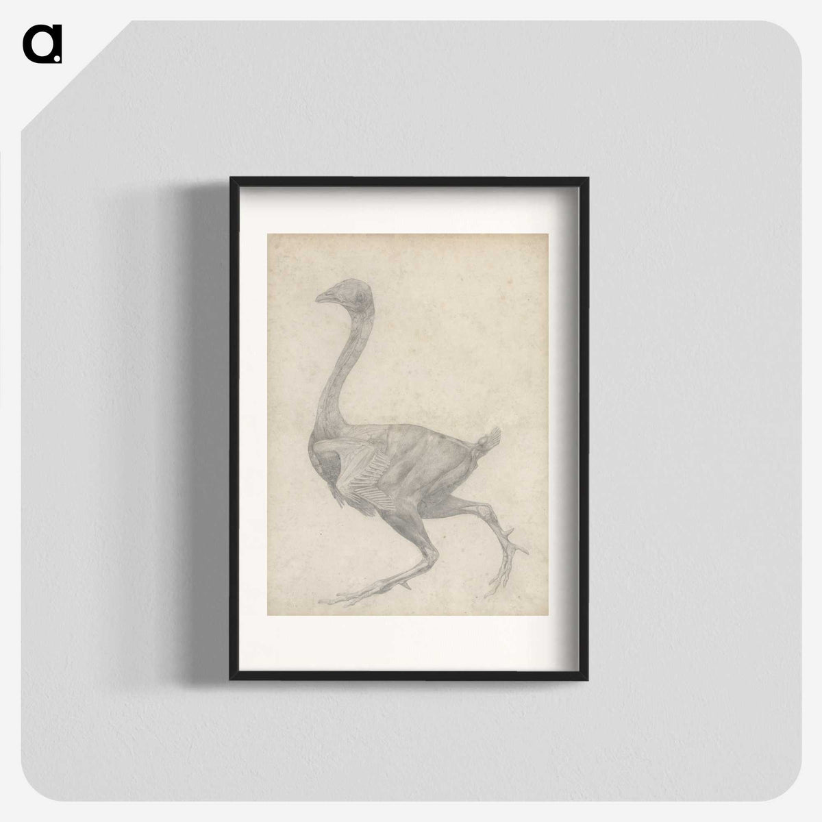 2-30_George-Stubbs_blk