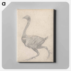 アートパネル-Fowl, Lateral View
 - ジョージ スタッブス Canvas.