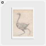 アートポストカード-Fowl, Lateral View
 - ジョージ スタッブス Postcard.