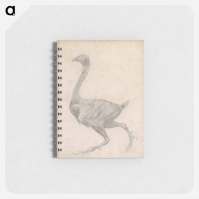 アートメモ帳-Fowl, Lateral View
 - ジョージ スタッブス Memo.