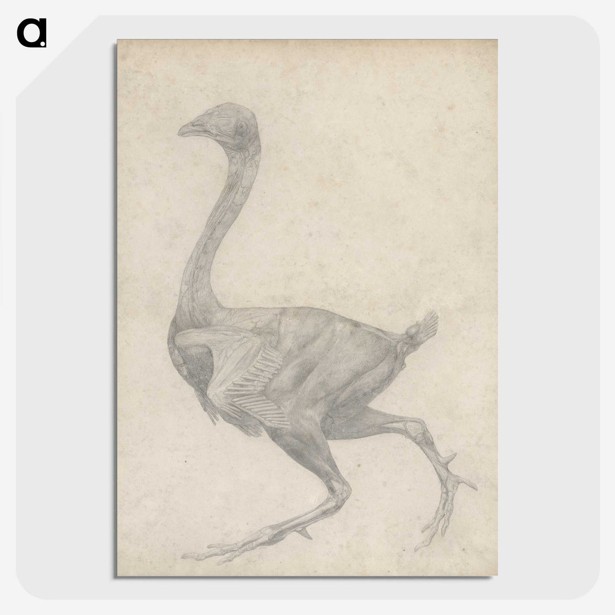 2-30_George-Stubbs_picture-crop